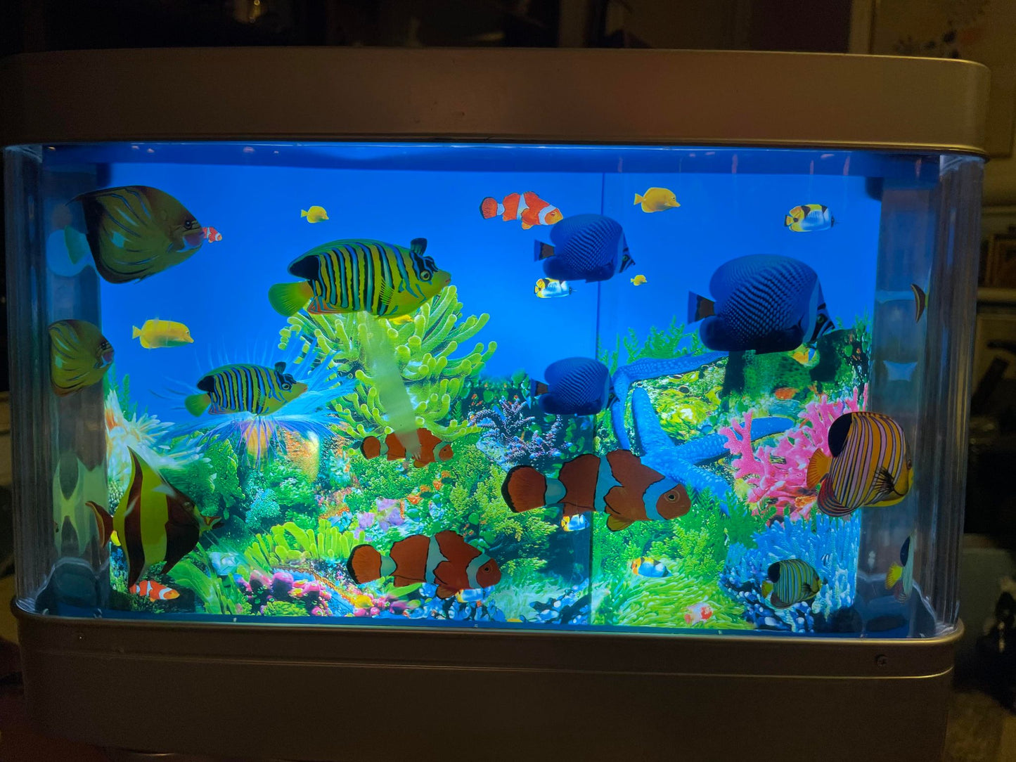 動く魚が泳ぐ楽しい水族館 - no. 011085